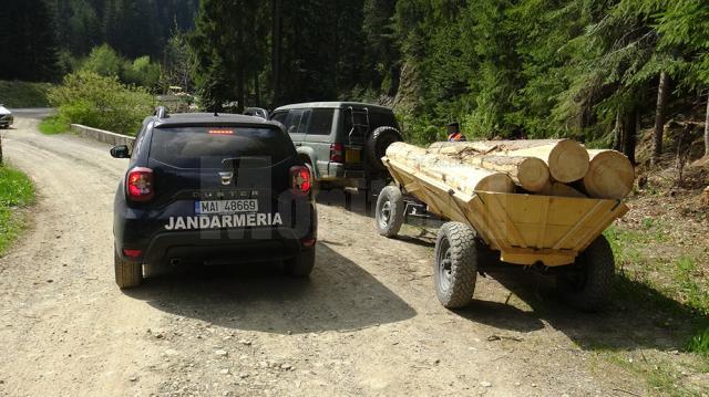 Mai multe transporturi ilegale de material lemnos au fost interceptate de echipaje ale Inspectoratului Județean de Jandarmi