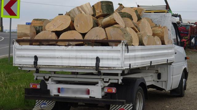 Mai multe transporturi ilegale de material lemnos au fost interceptate de echipaje ale Inspectoratului Județean de Jandarmi