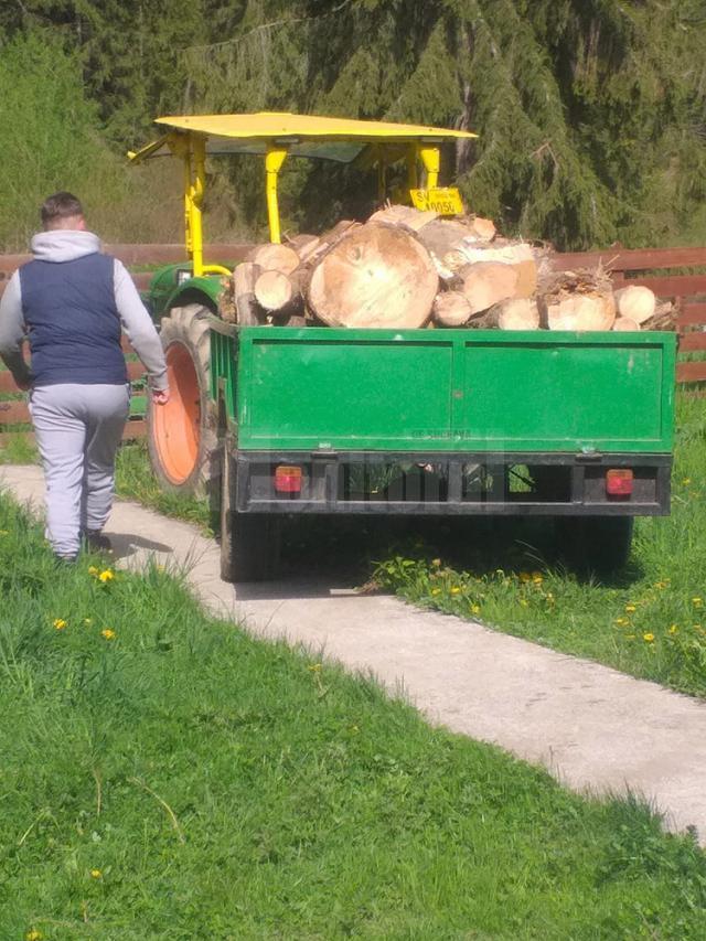 Transporturi ilegale de material lemnos, interceptate de echipaje de jandarmi