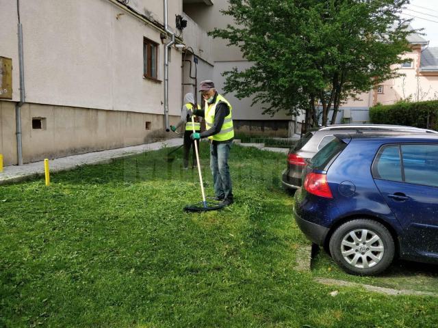 Lucrările de  întreținere a spațiilor verzi din municipiul Suceava continuă și săptămâna aceasta