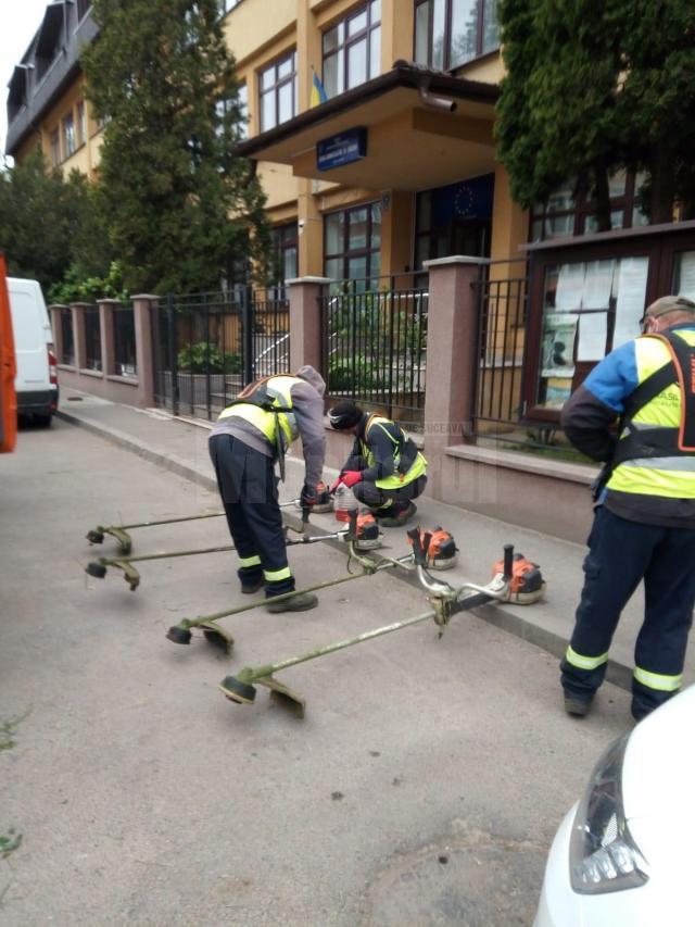 Lucrările de  întreținere a spațiilor verzi din municipiul Suceava continuă și săptămâna aceasta