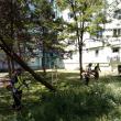 Programul acțiunilor de întreținere a spațiilor verzi de săptămâna aceasta, în municipiul Suceava