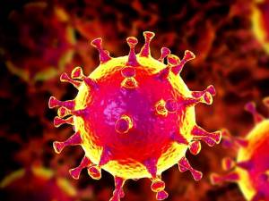 Două noi decese cauzate de coronavirus, în județul Suceava. Foto: libertatea.ro