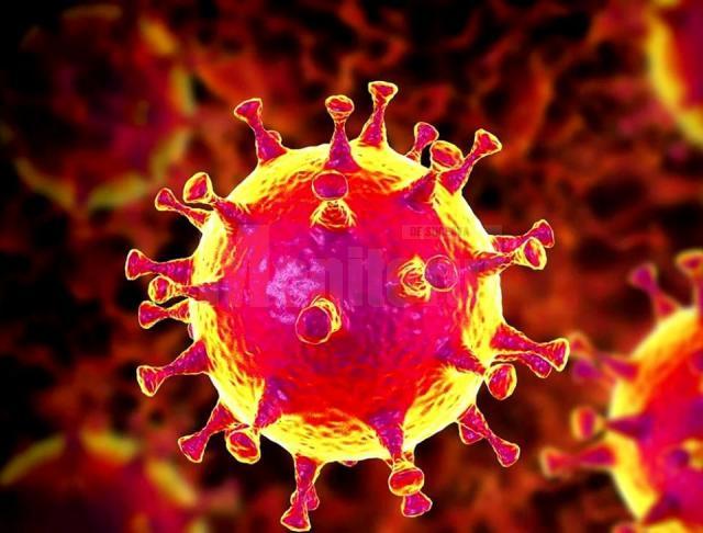 Coronavirus sursa libertatea.ro