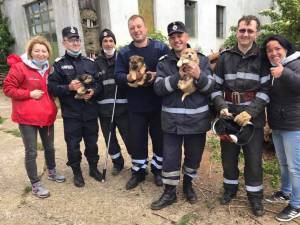 Cei cinci pompieri militari implicați în acțiunea de salvare a cățeilor