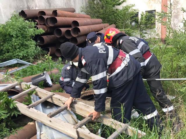 Pui de câine salvat de pompieri dintr-un canal de peste zece metri adâncime