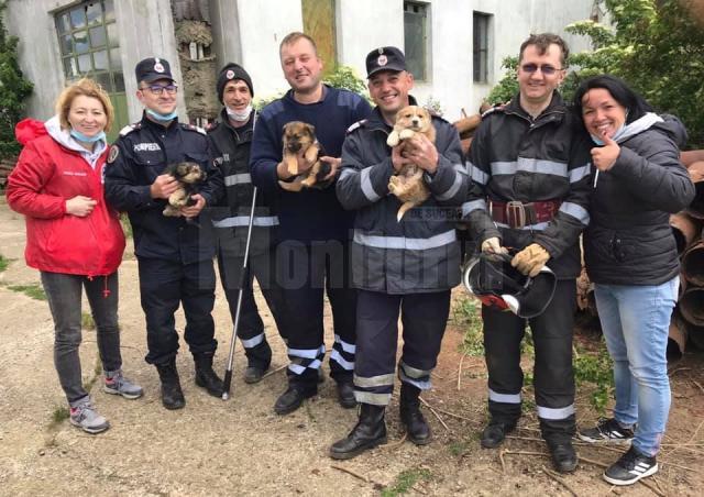Pui de câine salvat de pompieri dintr-un canal de peste zece metri adâncime