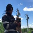 Pui de câine salvat de pompieri dintr-un canal de peste zece metri adâncime