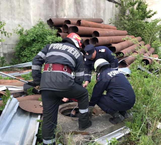 Pui de câine salvat de pompieri dintr-un canal de peste zece metri adâncime