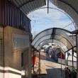 Bazarul Sucevei se redeschide de sâmbătă, după două luni și jumătate de suspendare a activității