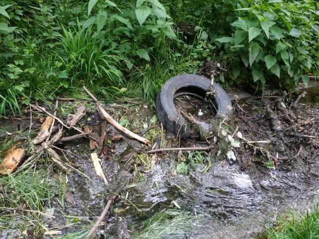 Parcul Șipote, plin de mizerie și buruieni