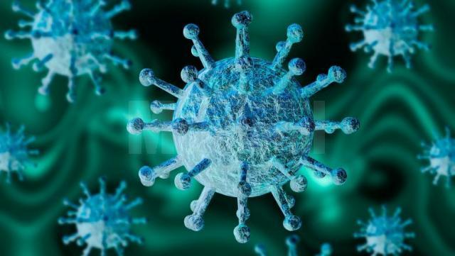Institutul Naţional de Sănătate Publică a transmis că trei suceveni infectaţi cu noul coronavirus au murit în cursul zilei de sâmbătă, 30 mai Sursa foto digi24.ro