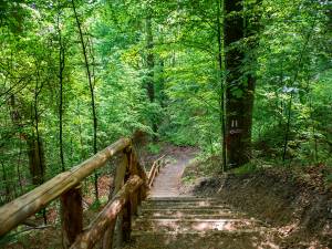 Am fost pe noile trasee turistice de la Gura Humorului