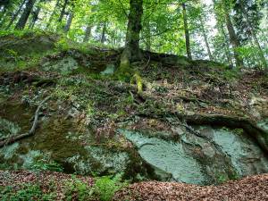Am fost pe noile trasee turistice de la Gura Humorului