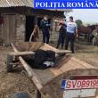 Cai salvați din mâinile ”stăpânilor” care i-au maltratat