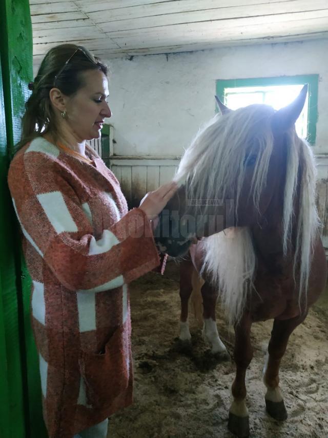 Mihaela Sarafeșcu împreună cu unul dintre cai