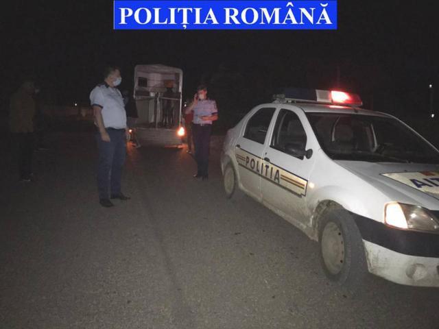 Cai salvați din mâinile ”stăpânilor” care i-au maltratat. Polițiștii au deschis și dosare penale