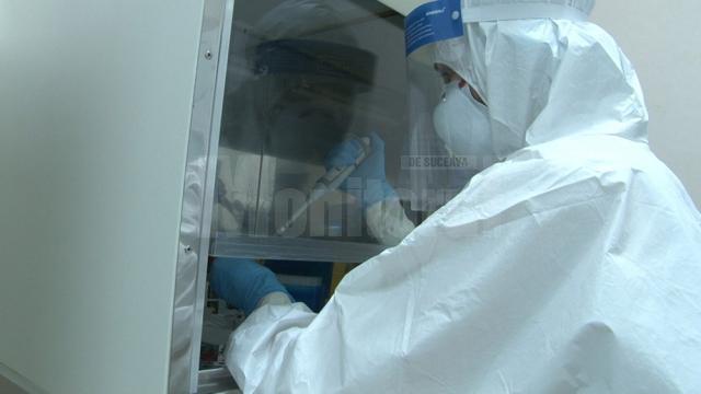 În laboratorul înființat acum 3 luni, Spitalul Suceava a efectuat peste 14.000 de teste Covid-19