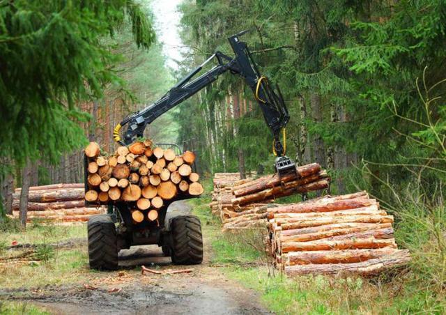 Companiile mici de exploatare și prelucrare primară a lemnului asigură locuri de muncă și finanțarea comunităților locale