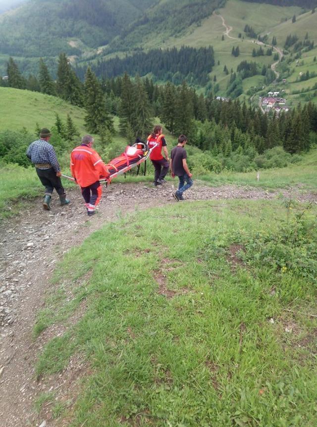 Salvamontiștii au coborât de pe munte o fetiță lovită de un cal