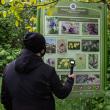 Zeci de specii de flori protejate și o priveliște spectaculoasă, la 15 minute de municipiul Suceava