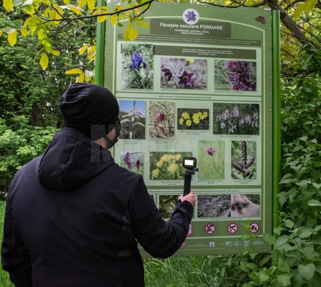 Zeci de specii de flori protejate și o priveliște spectaculoasă, la 15 minute de municipiul Suceava