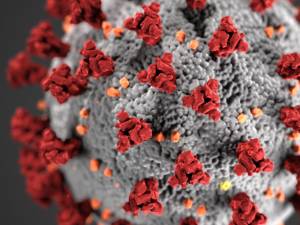 Numărul sucevenilor infectați cu  noul coronavirus (cazuri confirmate) a crescut cu 18, în 24 de ore