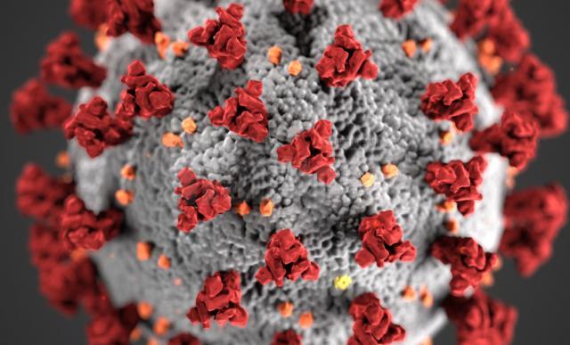 Numărul sucevenilor infectați cu  noul coronavirus (cazuri confirmate) a crescut cu 18, în 24 de ore