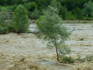 Râul Suceava este vizat de codul roșu de inundații emis de  Institutul Național de Hidrologie și Gospodărire a Apelor 1