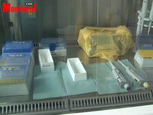 Laboratorul pentru testare covid al DSP Suceava