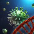Secvenţierea genomului virusului SARS-CoV-2: primele rezultate obţinute de cercetătorii USV urmează a fi anunţate în cursul acestei săptămâni