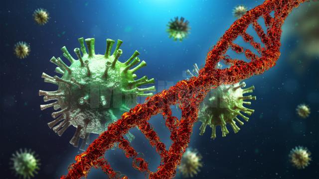 Secvenţierea genomului virusului SARS-CoV-2: primele rezultate obţinute de cercetătorii USV urmează a fi anunţate în cursul acestei săptămâni