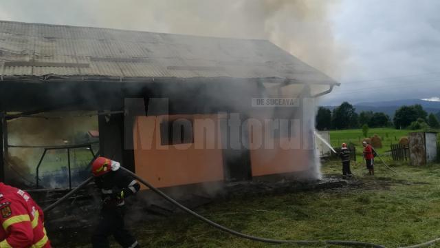 Un incendiu a cuprins sâmbătă seara magazia Ocolului Silvic din Stulpicani