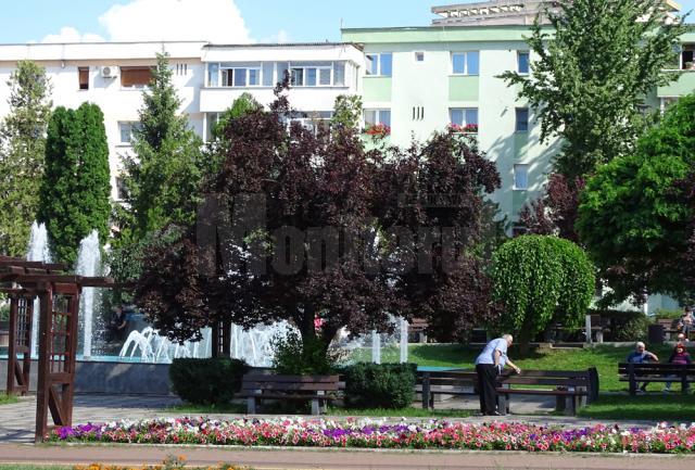 Parcul Sculptor Vladimir Florea, modernizat anul trecut