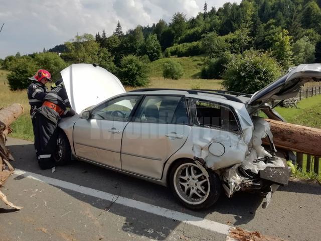 Accidentul cu bușteni căzuți: camion supraîncărcat, viteză și chingi de prindere insuficiente