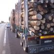 Transporturi de lemn oprite marți seară