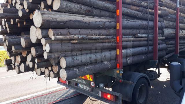 Transporturi de lemn oprite marți seară