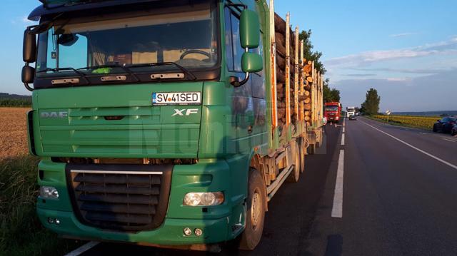 Transportatorii de lemne își bat joc de șosele și sfidează autoritățile de control