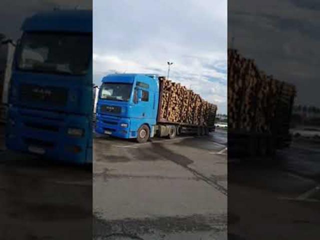 Camionul supraîncărcat cu lemn