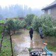 Curți și drumuri inundate la Ostra, în urma unei ploi violente