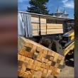Transportul ilegal de cherestea depistat de Garda Forestieră și IPJ Suceava - foto live Legea Codrului