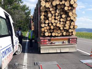 Camionul plecat de la Putna și oprit la Gălănești a fost cântărit la platforma autorizată de la Dărmănești