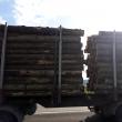 Camioanele cu lemn nu se mai ”strecoară” pe șosele: vehicul cu 13 tone în plus, oprit la Gălănești