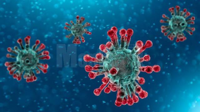 15 cazuri noi de coronavirus in Suceava, pe 4 august