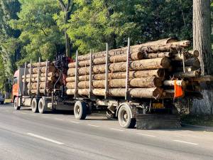 Camionul oprit la Rădăuți