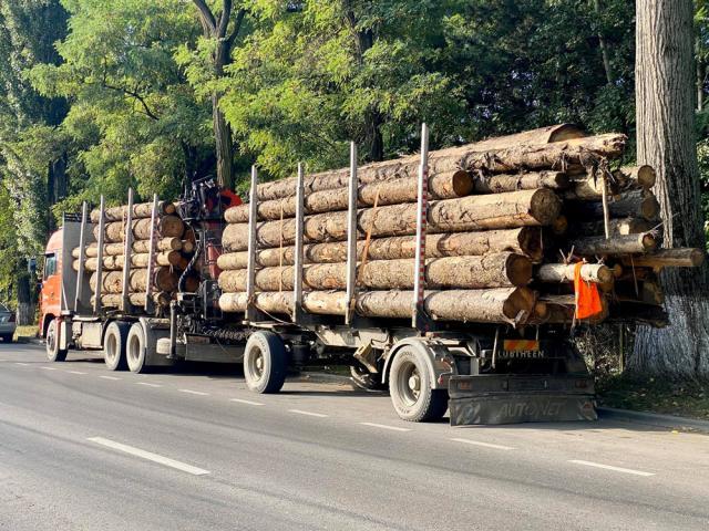 Camionul oprit in urma sesizarii la 112