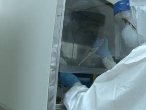 Testare Covid in laboratorul Spitalului Suceava