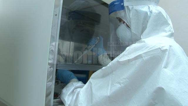 Testare Covid in laboratorul Spitalului Suceava