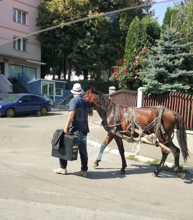Prins cu căruța în Suceava, a luat calul și-a plecat, neavând bani de amendă