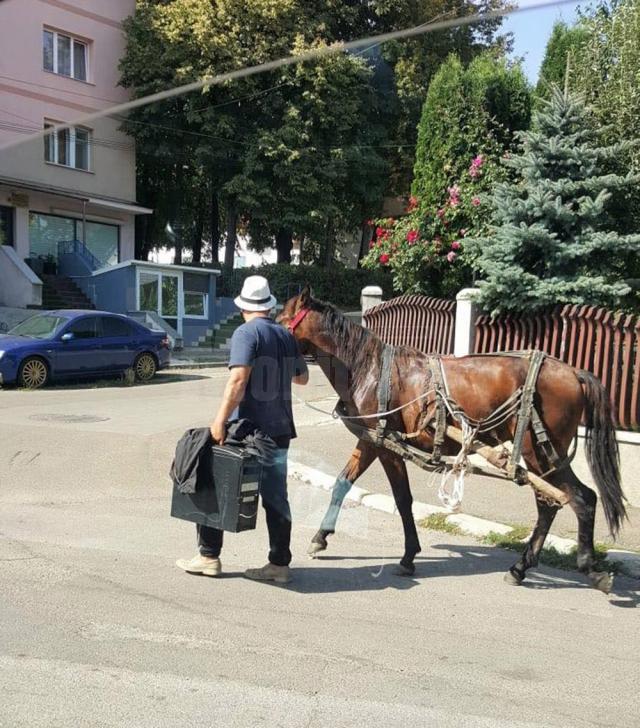 Prins cu calul și căruța pe strada 6 Noiembrie, a luat calul și-a plecat, neavând bani de amendă